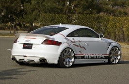 Alpil Rear Half Spoiler GT Type Audi TT MK2 8J 07-14